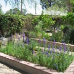 Children's Garden